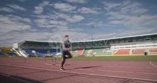 《森之国度》一周年庆开启：全新流派玩法升级，海量福利等你来拿