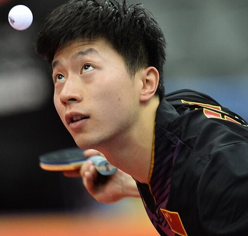 仅提高了观 仅提高了观