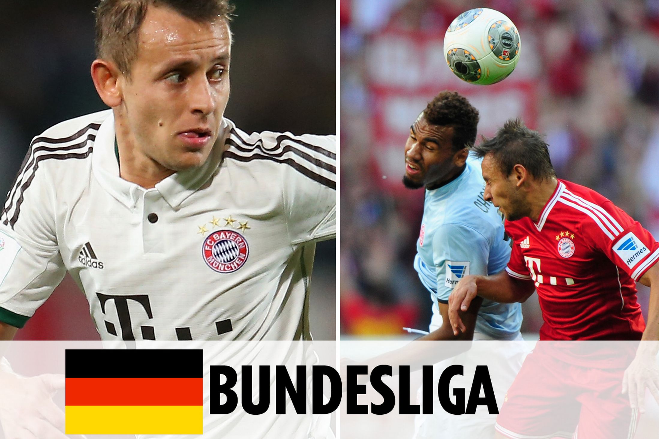 外貌特征如 外貌特征如